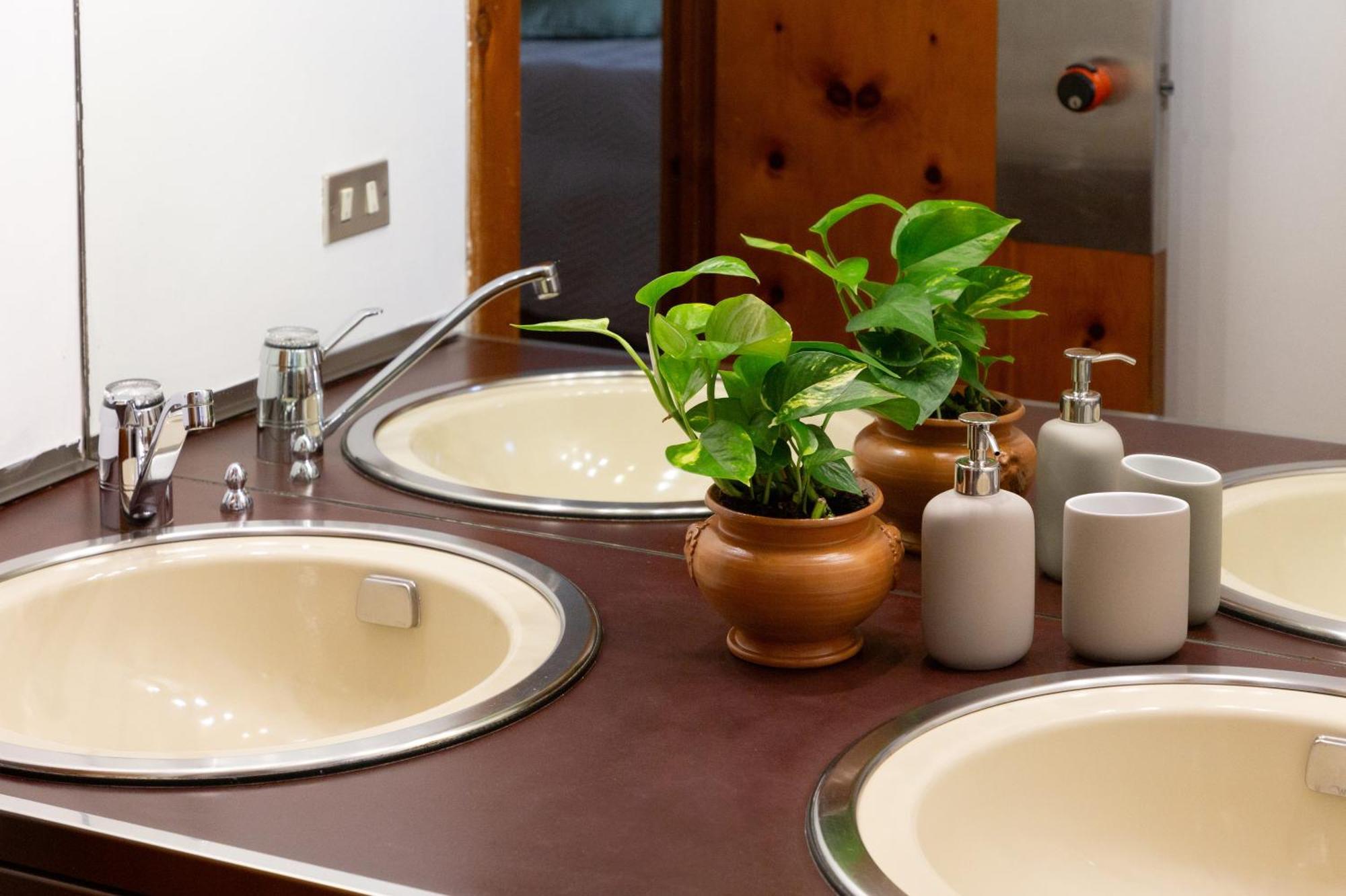 باري B&B Le Foglie D'Ulivo المظهر الخارجي الصورة