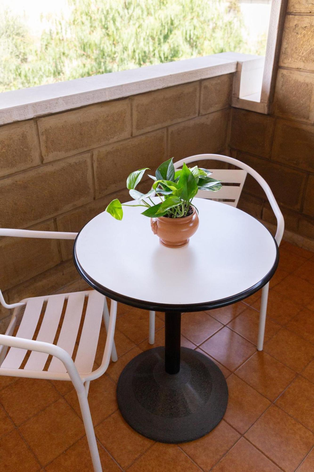 باري B&B Le Foglie D'Ulivo المظهر الخارجي الصورة